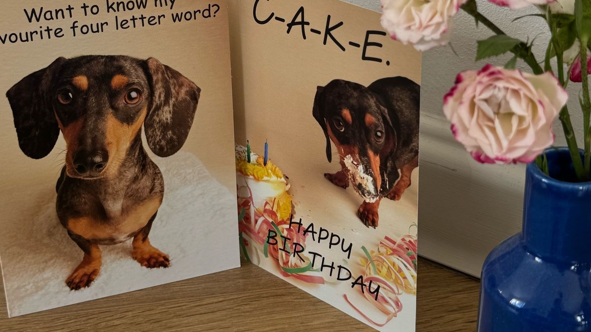 В честь др моей собаки играем в Roblox