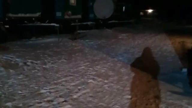 Попытка лисы своровать чемодан с инструментом