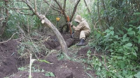 Выбитый колхоз не перестаёт удивлять 😜