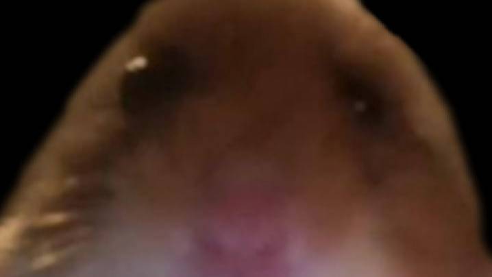 llllllllllllllllllllllllllllllllllllllll