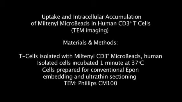 Miltenyi nanoparticles are retained by T cells, after 72hr incubation