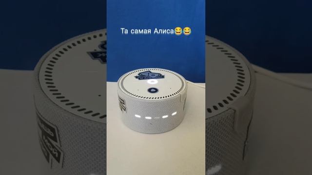 ДИАЛОГИ С АЛИСОЙ///ЧАСТЬ:1(ДЕТСКИЙ РЕЖИМ ПОИСКА И БОБР)