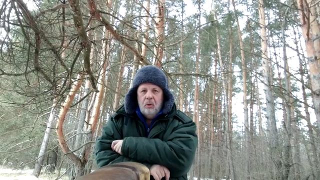 Волк в угодьях