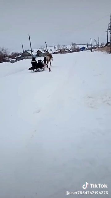 Едут на дискотеку, а Яшку не взяли!