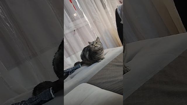 1000004107.mp4