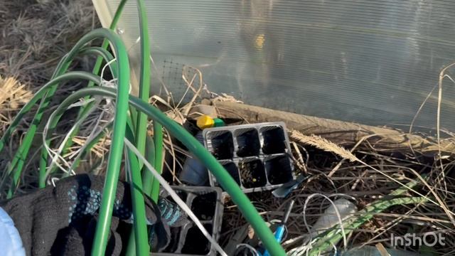 🟣РАБОТАЕМ В ТЕПЛИЦАХ ВЕСНОЙ 🟢СОХРАНЯЕМ ПЛОДОРОДИЕ ПОЧВЫ🍅🥦🫑🌿ПРИРОДНОЕ ЗЕМЛЕДЕЛИЕ 🌿