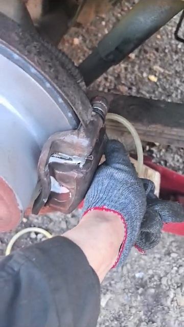 VID-20250316-WA0045