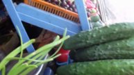 САРАПУЛ. КОМИТЕТ НАРОДНОГО КОНТРОЛЯ