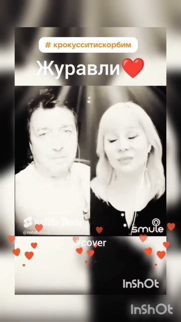 Журавли❤️Nata & guitaristik #крокуссити#22032024#вечнаяпамять#терракт#россия#shorts#кавер#бернес