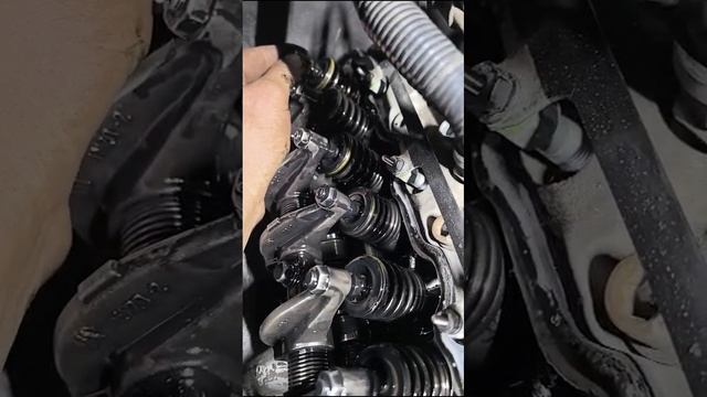 VID-20250316-WA0053