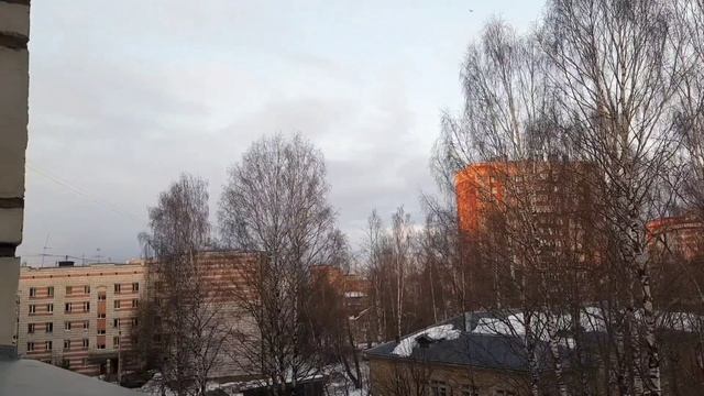 Снегопад в Сыктывкаре 20 марта 2025