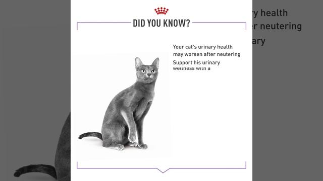 #BeChangeReady with Royal Canin Sterilised