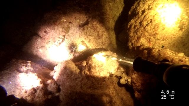 MOV_0353.MP4