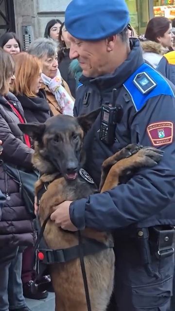 🫂Всем нужны нежности.

Ответственная собачка выполняет прекрасно свою службу