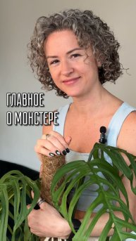 МОНСТЕРА