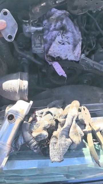VID-20250320-WA0129