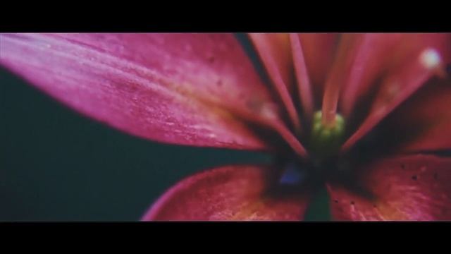 Флакон АЮ DREAMS. АЮ Дримс