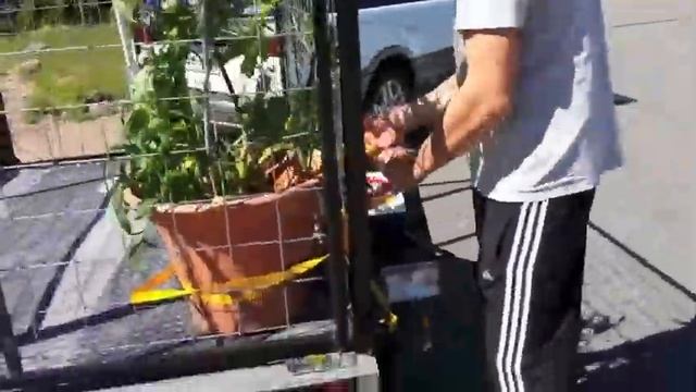 Flower Delivery, Adelaide! - Доставка Цветов, Аделаида. Ваха and Ден ентертеймент!
