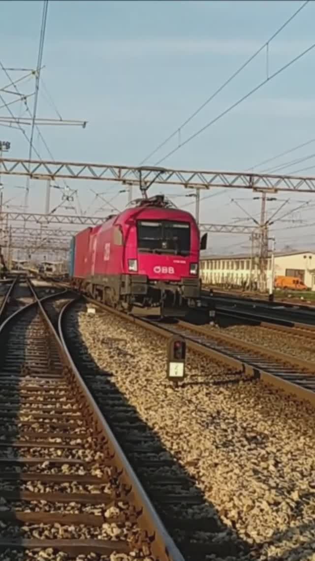 OBB 1116 036