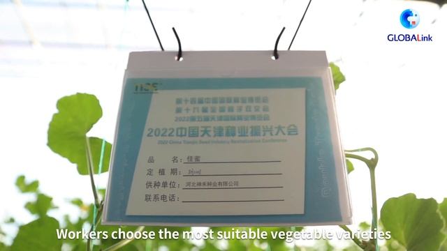 GLOBALink | Smart agricultural park paves the way for future seeding