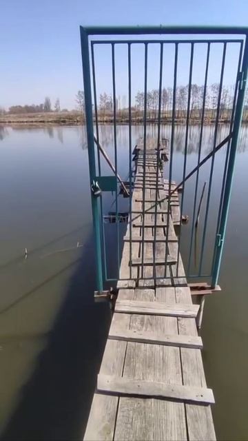 Дверь в Нарнию.