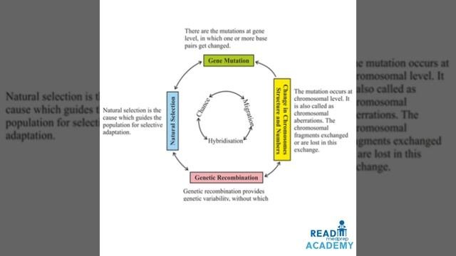 # EVOLUTION - PART-III - # THEORIES OF BIOLOGICAL EVOLUTION-LAMARCK'S - DARWIN'S AND OTHER THEORIES