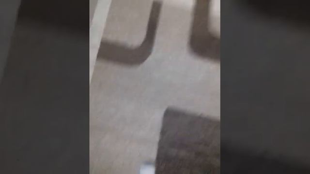 ОБЪЕСНЯЮ ЧТО ТАКОЕ ШОРТ-ТРЕК