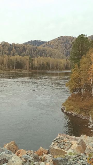Река Бия, Горный Алтай.