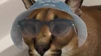 llllllllllllllllllllllllllllllllllllllll