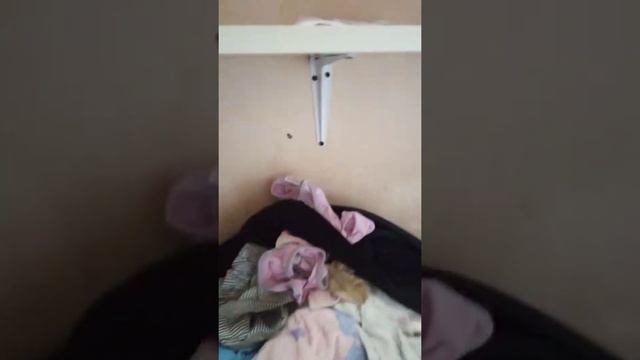 ☕эстетика☕     ☕уборка☕