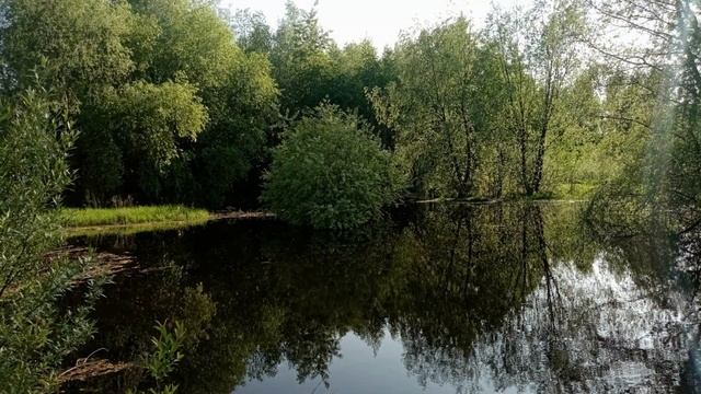 Братеевская пойма  Часть 2 Центр