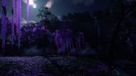 Magical Moonlit Trees in the Mist: Night Wind ASMR - Wind Sounds for Sleep and Relaxation