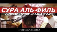 СУРА 105 ФИЛЬ (СЛОН) 7 раз. КОРАН НА КАЖДЫЙ ДЕНЬ
