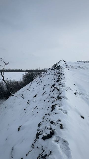 Охота на зайца
