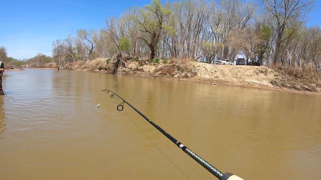 Smokey Hill River White Bass Spawn with New Friends Kansas Fishing
