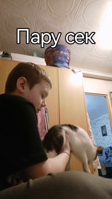 Прикол