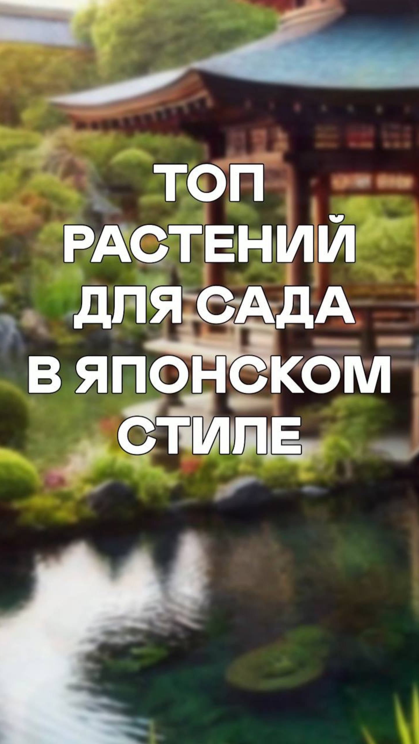 🎍ЯПОНСКИЙ САД своими руками - ЛЕГКО И ПРОСТО!