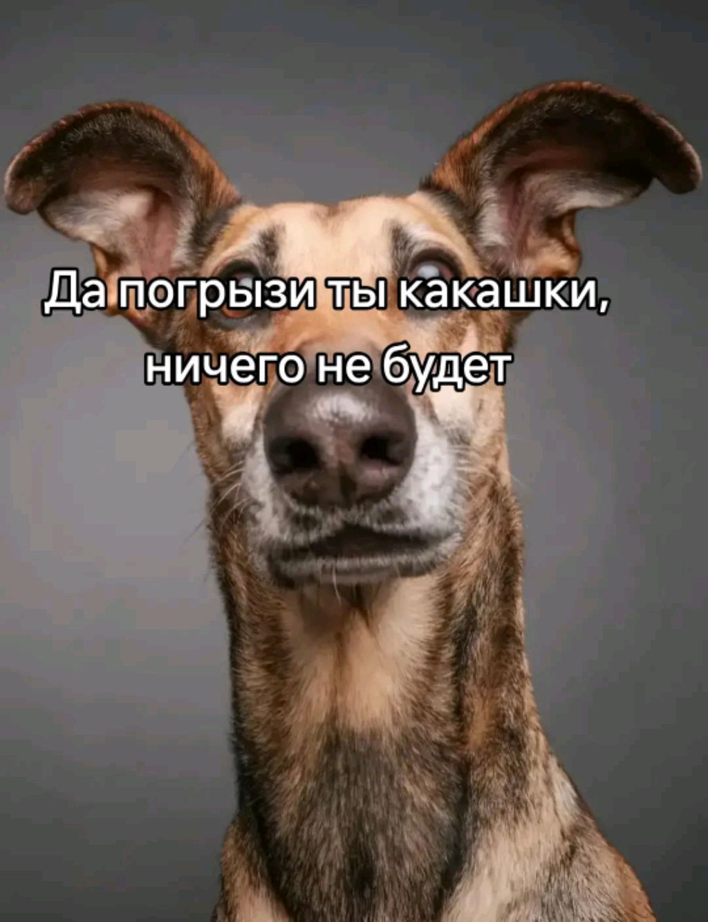 гуляем чеееек