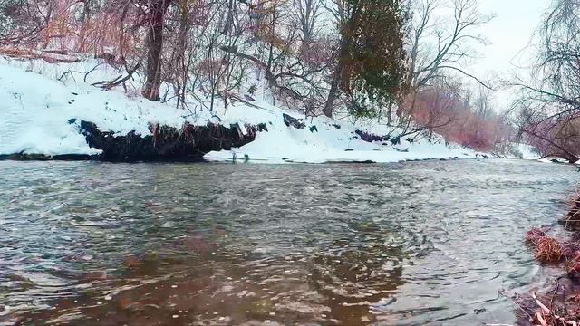 Природная релаксация на видео. Холодная вода реки с заснеженными берегами.