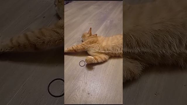 1000004502.mp4