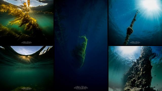 Freedive & Below the Surface by Stephan Kleinlein - 4K Video