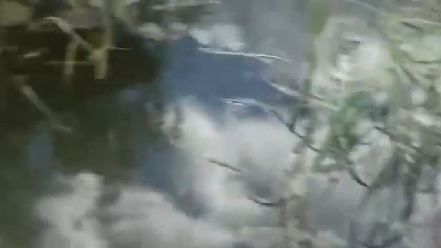 Приход Амура (навеска 2.5-4 кг) 09.05.2023