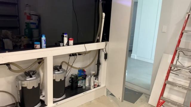 3 reasons why you would do a water change!
