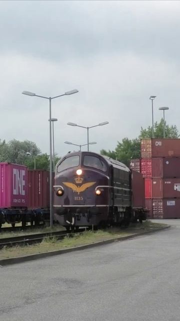 DB-1135