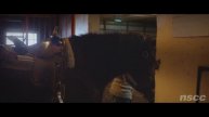 NSCC Strive - Horses for Healing. (Stephanie Clarke, Therapeutic Recreation)