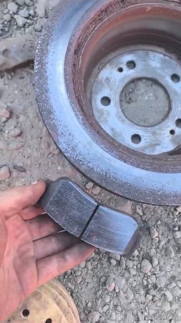 VID-20250316-WA0022