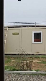 Сайгаки, вокруг одни сайгаки!