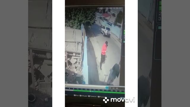 две КРЫСЫ.