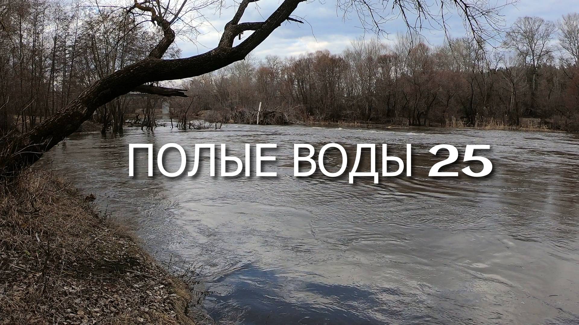 Полые воды 25