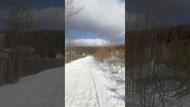 22-03-2025